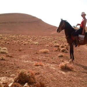 Cheval