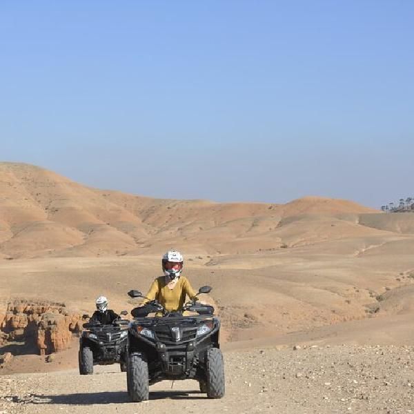 Day Trip