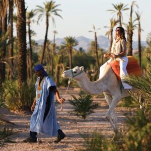 Marrakech: Half-Day Camel Ride in Palm Grove