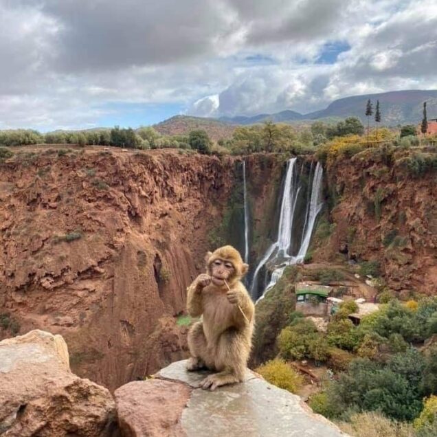 Ouzoud