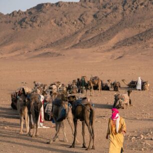 Zagora