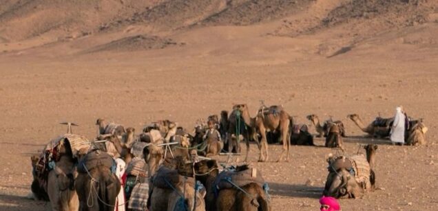 Zagora