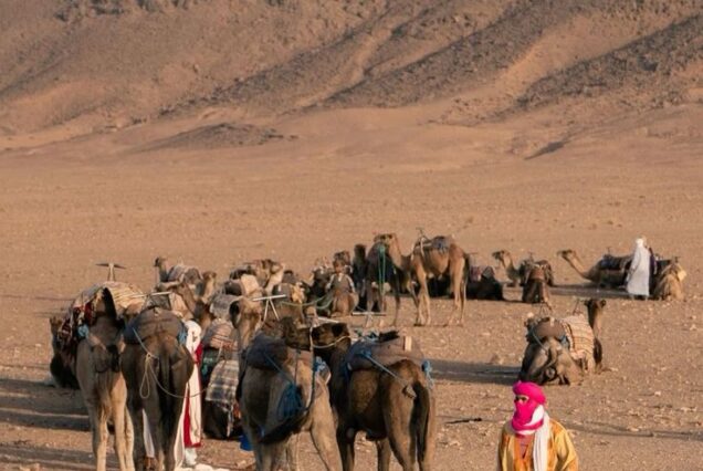 2 days Zagora desert from Marrakech to Marrakech